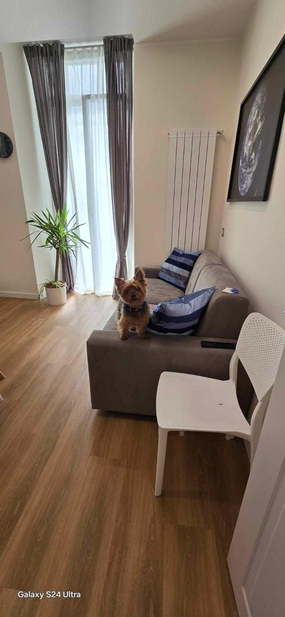 The Dream Apartment 100 M Dal Mare サヴォーナ エクステリア 写真